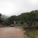 경창구두 이미지