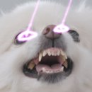 언니(sister) 티스토리