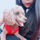 지인24시셀프세차장 이미지