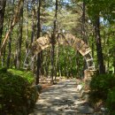수리산산림욕장 이미지