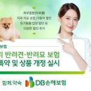 리치펫동물병원 이미지