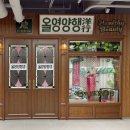 영양행 | 올리브영 광장마켓점 올영양행 퍼스널컬러 무료진단 후기