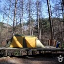 국립청옥산자연휴양림 이미지