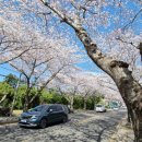 예래동사무소 이미지