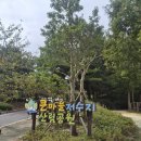 녹수초교 | 울산 동구 가볍게 산책하기 좋은 곳 추천 큰마을저수지산림공원을 방문해보