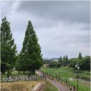 고운이안공인중개사사무소 | 내 집 마련 고민 끝, 서산공인중개사 고운이안에서 만나는 서산테크노밸리 아파트와 토지의 모든 것