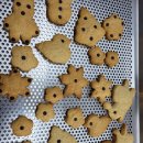 초록이둥지협동조합 이미지