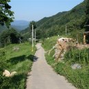 소나무황토집 이미지