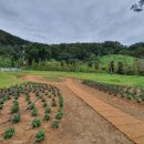 사명대사공원건강문화원 이미지