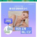 캐시닥/지니어트/타임스프레드 정답 <b>원더브라</b>