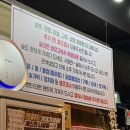 군산세꼬시 | 군산 선주네포차 세꼬시물회 최고 핫플 술맛집 방문 후기