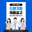 21세기종합개발 이미지