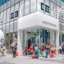 강남에스라인 이미지