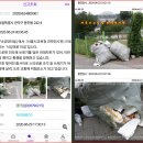 낙성대 숲속공원 이미지