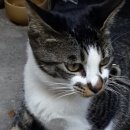 산울림민박 이미지