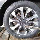 타이어나라 이미지