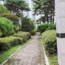 동탄21공인중개사사무소 이미지