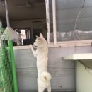 지운카센타 이미지