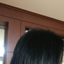 본스타일