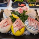 회포차 | 동해 맛집 더좋은회포차 동회동 회포차 후기 (동해 술집 추천)