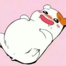 창성상사 이미지