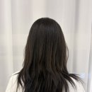 배곧 미용실 헤어라운드 허쉬컷 모델작업 후기