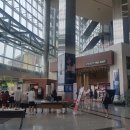 델리지아 이미지