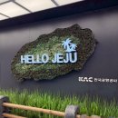 김밥천국 (동문점) | 제주 여행 필수코스! 동문시장 야시장 먹거리 추천