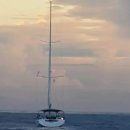 태평양여관 이미지