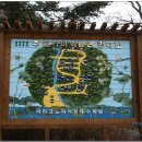 동국어패류 이미지