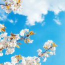 그린필드 당구장 이미지