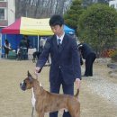 프라이드 켄넬 이미지