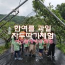 혜송유치원 이미지
