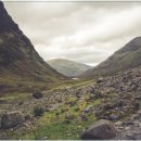 봄의기운 이미지