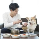 쌀강아지 이미지