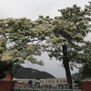 강진도암초등학교 이미지