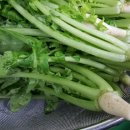 열무물김치 담그는 법 - 열무물김치 맛있게 담그기 이미지