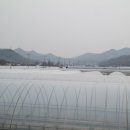 양촌농장 이미지