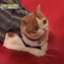 승복농장 이미지