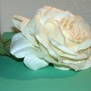 유니블렌드 카카오 검색결과