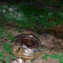 은혜 카센타 이미지