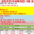 9월4일 급등주반(쑤씨삐자반)성적보고 / 퀀텀온 12% 수익 이미지