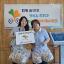 푸르미르 이미지