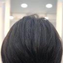 궁서채