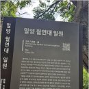 (홀로)밀양 월연정, 영남루, 위양지 투어(2026.8.15) 이미지