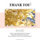 해오하우스 | 합정 웨딩시그니처 예식 과정 후기 (이브닝글로우 본식 DVD)