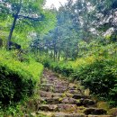 무궁화오토캠핑장 이미지