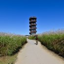 시흥 갯골생태공원 이미지