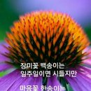 샘물(spring wa ter)의 원칙 이미지