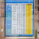 아이컬렉션 위드렌즈 연제구청점 | 연산동 안경점 아이컬렉션 위드렌즈 연제구청점, 멜팅헤이즈 컬러렌즈 후기